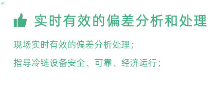 實(shí)時(shí)有效的偏差分析和處理：實(shí)時(shí)有效的偏差處理； 指導(dǎo)冷鏈設(shè)備安全、可靠、經(jīng)濟(jì)運(yùn)行；